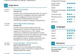 Resume Sample for Configration tool Chef software Consultant Resume Sample 2021 Writing Guide – Resumekraft