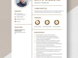 Resume Sample for Controller at College University Controller Resume Templates – Design, Free, Download Template.net