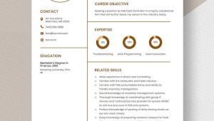 Resume Sample for Controller at College University Controller Resume Templates – Design, Free, Download Template.net