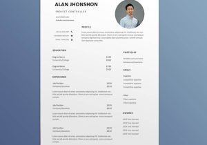 Resume Sample for Controller at College University Free Project Controller Resume Template with Example for Job Seeker