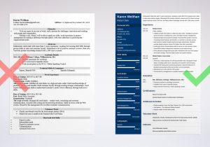 Resume Sample for Convenience Store Manager Retail Resume Examples (with Skills & Experience)