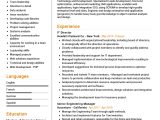 Resume Sample for Data Integration Director It Director Resume Example 2022 Writing Tips – Resumekraft