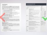 Resume Sample for Data Integration Director It Director Resume: Sample & Writing Guide [20lancarrezekiq Tips]