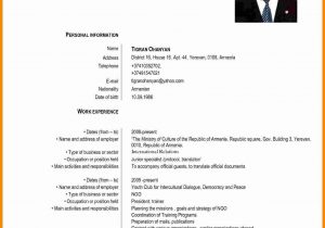 Resume Sample for Development Sector Ngo 5 Curriculum Vitae European format Word theorynpractice …