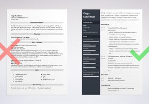 Resume Sample for Development Sector Ngo Nonprofit Resume Examples (template & Guide)
