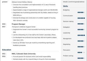 Resume Sample for Development Sector Ngo Nonprofit Resumeâexamples and 25lancarrezekiq Writing Tips