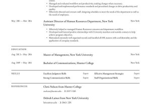 Resume Sample for Director Of Operations Operations Manager Resume Examples & Writing Tips 2022 (free Guide)
