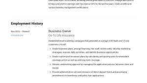 Resume Sample for E Commerce Business Owner Small Business Owner Resumes  19 Examples Pdf 2022
