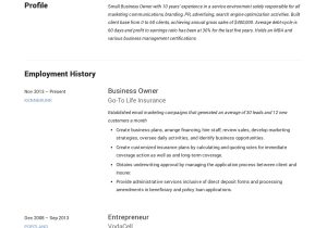 Resume Sample for E Commerce Business Owner Small Business Owner Resumes  19 Examples Pdf 2022