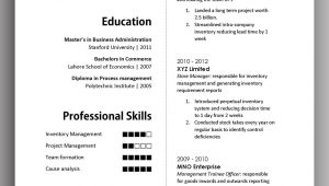 Resume Sample for Long Term Employment Simple yet Elegant Cv Template to Get the Job Done – Free Download …