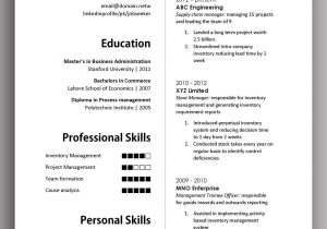 Resume Sample for Long Term Employment Simple yet Elegant Cv Template to Get the Job Done – Free Download …