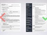 Resume Sample for Real Estate Agent with Experience Real Estate Agent Resume Sample [job Description & 20 Tips]