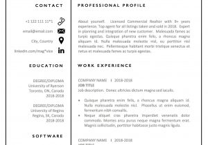 Resume Sample for Real Estate Agent with Experience Real Estate Agent Resume Template – Realtor Cv Resume Template …