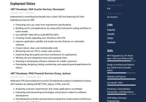 Resume Sample for Rest soap Service In C Net Developer Resume & Writing Guide  17 Templates 2022