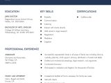 Resume Sample for Returning to Workforce Stay-at-home Mom Resume Examples In 2022 – Resumebuilder.com