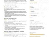 Resume Sample for Sales Lady without Experience the Best Sales Representative Resume Examples & Skills to Get You …