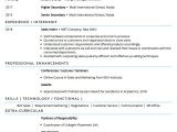 Resume Sample for Sales Manager In India Sample Resume Of Sales Executive with Template & Writing Guide …