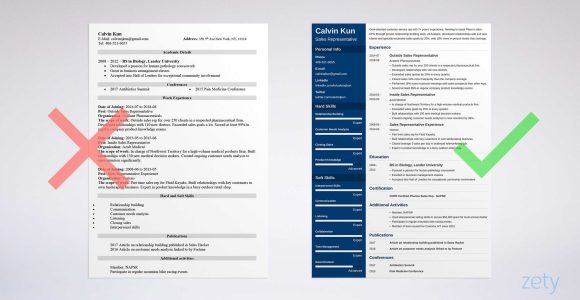 Resume Sample for Sales Representative Fmcg Sales Representative Resume: Sample & Job Description