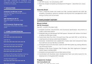 Resume Sample for Sap Mm Consultant Sample Resume Skills Of Sap Scm/mm Consultant with Career Break …