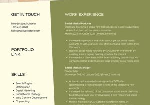 Resume Sample for social Media Manager Olive Green Light Yellow Color Blocks social Media Manager Resume …