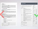 Resume Sample for Story Board Artist Animator Resume: Example & Writing Guide [20lancarrezekiq Tips]