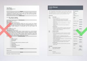 Resume Sample for Story Board Artist Animator Resume: Example & Writing Guide [20lancarrezekiq Tips]