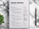 Resume Sample for Story Board Artist Free Storyboard Artist Resume Template with Clean and Professional …