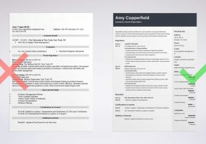 Resume Sample for Supply Chain Management Logistics Resume Sample: Skills [lancarrezekiqcv for Specialists]