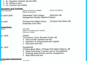 Resume Sample for Tim Hortons Job Successful Professional Affiliations Resume for Office and Firm …