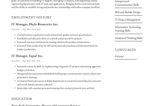 Resume Sample for tool and Die Manager It Manager Resume Examples & Writing Tips 2022 (free Guide)