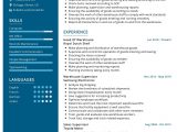 Resume Sample for Warehouse Team Leader Warehouse Manager Resume Sample 2021 Writing Tips – Resumekraft Resume Sample for Warehouse Team Leader Warehouse Manager Resume Sample 2021 Writing Tips – Resumekraft