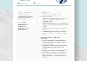 Resume Sample format for Customs Broker Free Free Import Export Manager Resume Template – Word, Apple …