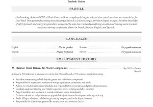 Resume Sample Free New Truck Driver Truck Driver Resume & Writing Guide  12 Resume Examples 2019