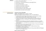 Resume Sample From A Finance Person assistant Finance Manager Resume Example 2022 Writing Tips …