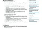 Resume Sample From A Finance Person Finance Director Resume Examples & Writing Tips 2022 (free Guide)