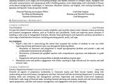 Resume Sample From A Finance Person Finance Manager Resume Example Resume Professional Writers