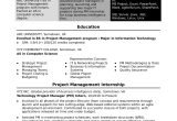 Resume Sample From associate Project Manager Sample Resume for An assistant It Project Manager Monster.com