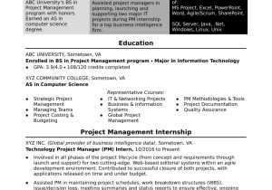 Resume Sample From associate Project Manager Sample Resume for An assistant It Project Manager Monster.com
