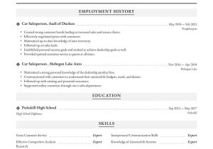 Resume Sample Goal for Auto Parts Salesperson Car Sales Resume Examples & Writing Tips 2022 (free Guide)