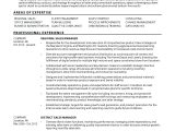 Resume Sample Home Depot Pro Field Sales Professional Modern Resume formatting Examples – Careerlaunch Resume Samples