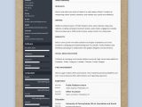 Resume Sample Lots Of Work Experience the 3 Best Resume formats to Use In 2022 (examples)