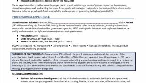 Resume Sample Member Of A Launch Group 3 Board Of Director Resume Examples – Distinctive Career Services