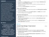 Resume Sample Member Of A Launch Group Free associate Project Manager Resume Sample 2020 by Hiration