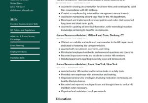 Resume Sample Of A Person Working In the Drive Truogh Human Resources Resume Examples & Writing Tips 2022 (free Guide)