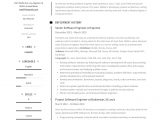 Resume Sample Pdf File Free Download Curriculum Vitae English Example Pdf
