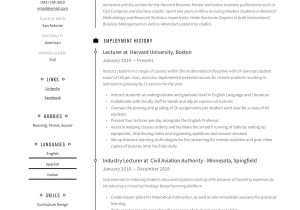 Resume Samples for Academic Positions In Education Lecturer Resume & Writing Guide  18 Free Examples 2020