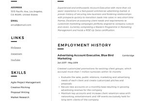 Resume Samples for Account Executive In Sales Account Executive Resume & Guide 18 Templates 2022