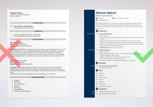 Resume Samples for Account Executive In Sales Account Executive Resume Sample (20lancarrezekiq Best Examples)