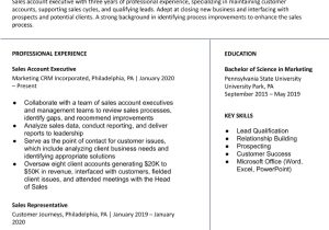 Resume Samples for Account Executive In Sales Sales Account Executive Resume Examples In 2022 – Resumebuilder.com
