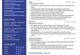 Resume Samples for Airport Job with No Experience Cargo Porter Resume Sample 2022 Writing Tips – Resumekraft